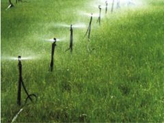 潍坊高品质微灌带批售 山东微灌带 微灌带价格 微灌带批发