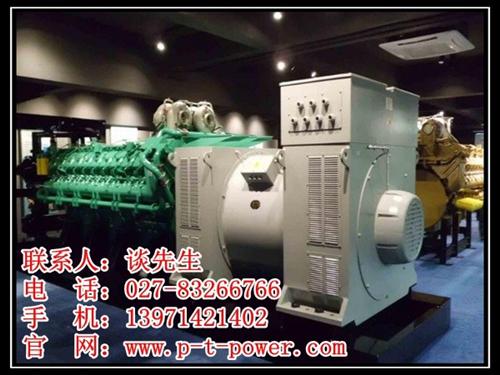 武湖街道发电机|武汉发电机出租|30KW  120KW发电机  30KW发电机租  50KW发电机租