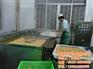 豆泡油炸机生产厂家|南平豆泡油炸机|诸城