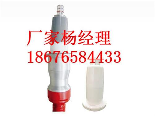 110kV交联|长园电力|110kV交联  110kV交联电  户外终端（110  配套110kV交