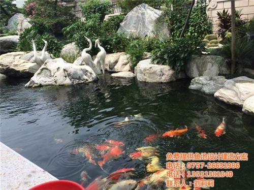 别墅庭院鱼池设计|庭院鱼池设计|金碧林(  室内景观鱼池设计  室外锦鲤鱼池设计
