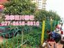 市政护栏网售价,东西湖市政护栏网,龙泰百