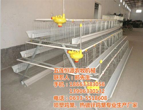 恒源鸡笼、黑龙江喷塑蛋鸡笼、喷塑蛋鸡笼加  喷塑蛋鸡笼生产厂  喷塑蛋鸡笼加工厂  喷塑蛋鸡笼经销商