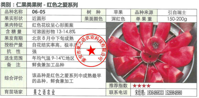 西藏4cm苹果树苗不二之选质优价廉