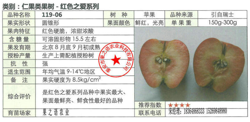 湖南秋口红苹果树技术指导质优价廉