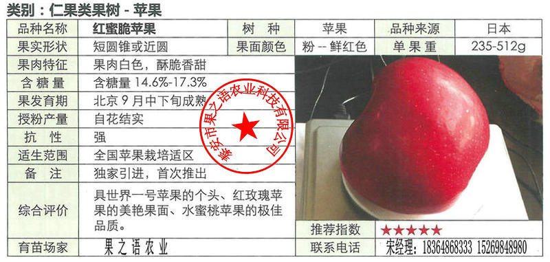 甘肃9公分苹果苗价格表咨询电话
