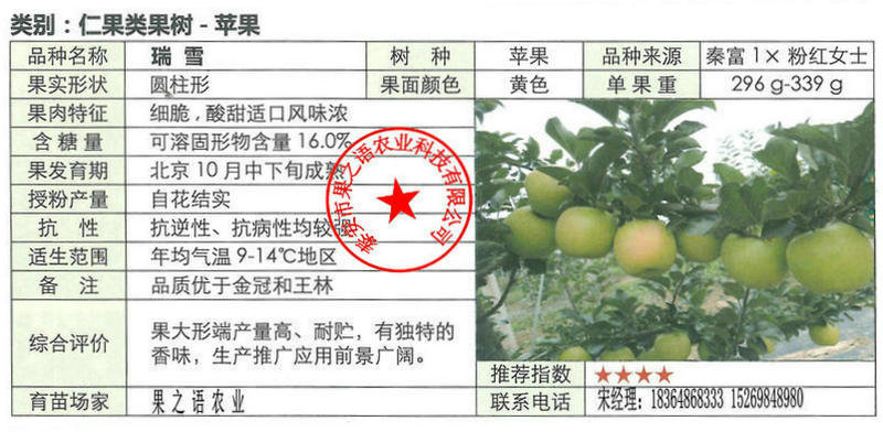 西藏信浓红苹果苗放心省心咨询电话