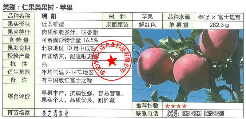 陕西美国8号苹果树如何挑选诚信经营