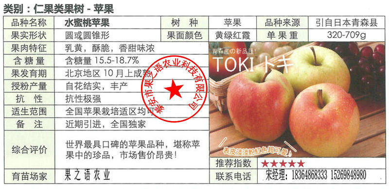 广西柱状苹果树品种有哪些诚信经营