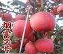 辽宁黑钻苹果树多少钱一棵2018新报价