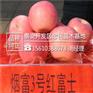 苹果苗现挖现卖占地苹果苗什么价格