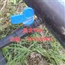 神农架果树pe16微喷管与110pe管怎么连接