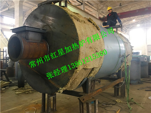 生物质导热油锅炉厂家,常州红星燃气导热油锅炉 生物质锅炉 燃气锅炉
