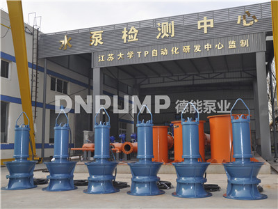 专业定制_潜水轴流泵_德能厂家&nbsp;&nbsp;定制潜水轴流泵&nbsp;&nbsp;潜水轴流泵厂家&nbsp;&nbsp;泵站潜水轴流泵