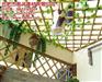合肥君潤防腐木,防腐木,防腐木材