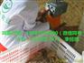 重庆黑鸡苗批发价格 黑土鸡苗养殖行情