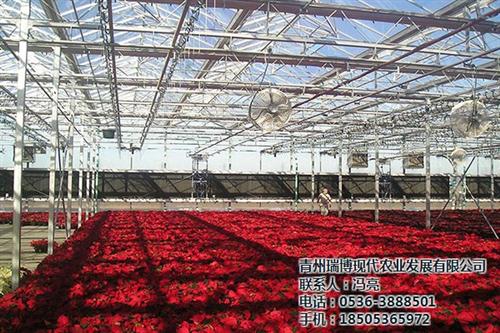 取暖温室大棚,新疆温室大棚,新昌晟物产(  冬暖温室大棚  双层膜温室大棚