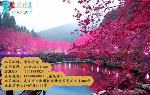爱旅纷途加盟费、爱旅纷途、爱旅纷途招商加  爱旅纷途旅游网代  爱旅纷途旅游网加