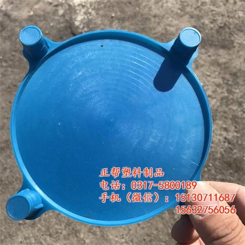 法兰保护塞作用、浙江法兰保护塞、正帮塑料&nbsp;&nbsp;平焊法兰保护塞&nbsp;&nbsp;凹凸式法兰保护塞