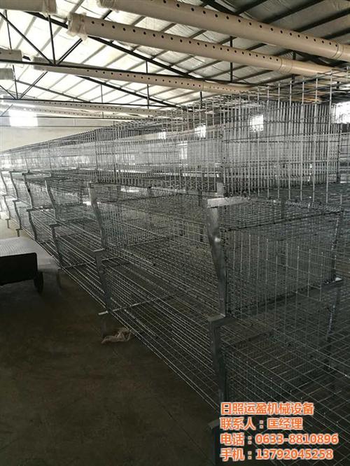 运盈机械厂家、蛋鸡笼、蛋鸡笼批发  蛋鸡笼养鸡设备  蛋鸡笼的价格