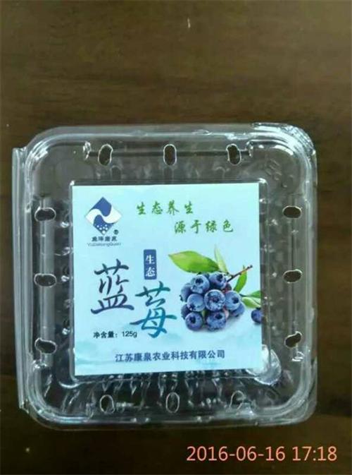 新鲜蓝莓采摘、蓝莓、江苏康泉农业(查看)  蓝莓生态园