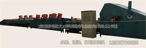 水果清洗机、恒力果蔬机械安全可靠、水果清  带叶水果清洗机  水果清洗机设备  水果清洗机设备价