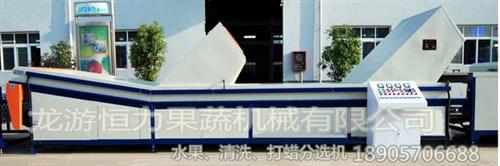 广西水果清洗机_恒力果蔬机械技术先进_水  脐橙清洗机  水果清洗机批发  水果清洗机批发价