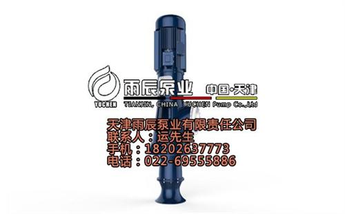 混流潜水泵制造商,混流潜水泵,雨辰泵业(  混流潜水泵现货  石油化工混流潜水