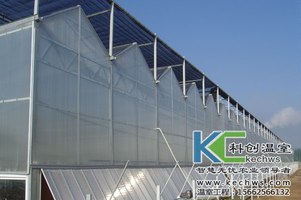 温室大棚建设什么大小合适&nbsp;&nbsp;温室大小