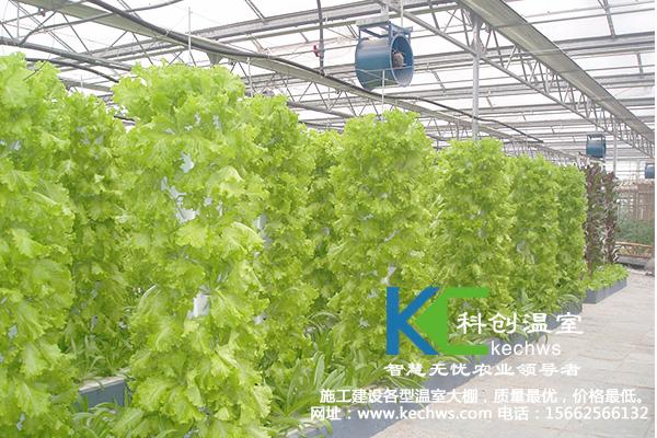 蔬菜无土栽培改变了传统蔬菜生产模式&nbsp;&nbsp;无土栽培技术