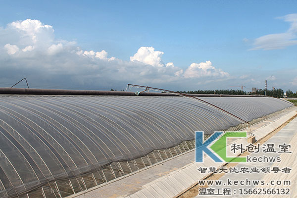 怎样建设温室大棚造价低 蔬菜大棚