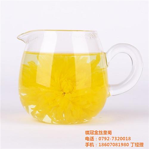 金丝皇菊批发、铜仁金丝皇菊、祺冠金丝皇菊  金丝皇菊招商加盟  金丝皇菊花茶