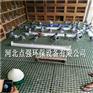 养殖排粪地板玻璃钢格栅-阜城格栅厂家-点强