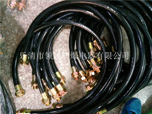 BNG-20*1000防爆挠性连接管&nbsp;&nbsp;防爆软管&nbsp;&nbsp;防爆过线管