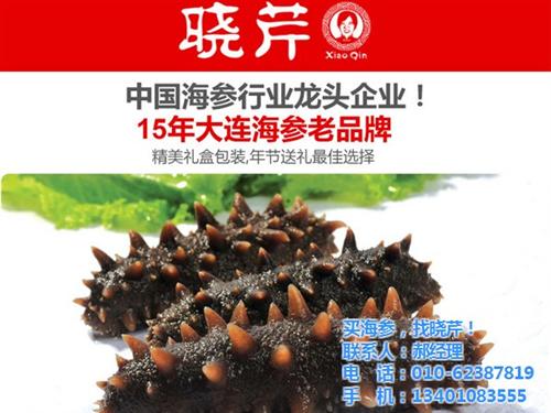 晓芹珍味海参价格|晓芹珍味海参|晓芹海参  晓芹珍味海参专卖  晓芹珍味海参去哪