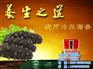 品牌海参厂家、品牌海参、晓芹海参(图)