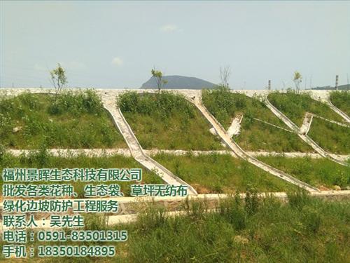 福州绿化苗木_绿化_福州景晖生态工程  福州绿化公司  福州园林绿化设计