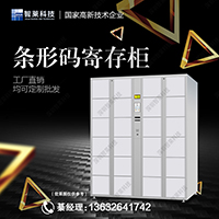 智能储物柜价格 厂家直销 可定制 智能储物柜价钱 智能储物柜多少钱