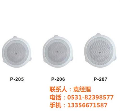 山东荷创影音技术有限公司,广播,校园广播  校园广播音箱  IP网络广播