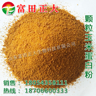 供应食品级膨化玉米粉，玉米粉，膨化玉米面
