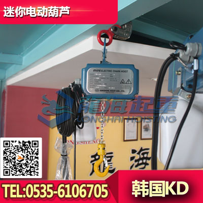 125kg迷你电动葫芦,家用小型的电动葫芦,韩国KD品牌