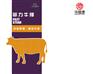 阳信华信清真肉类专业供应华信源调理牛排—
