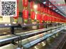 明档自助火锅菜品展示冷藏柜，不锈钢直冷后补式选菜柜
