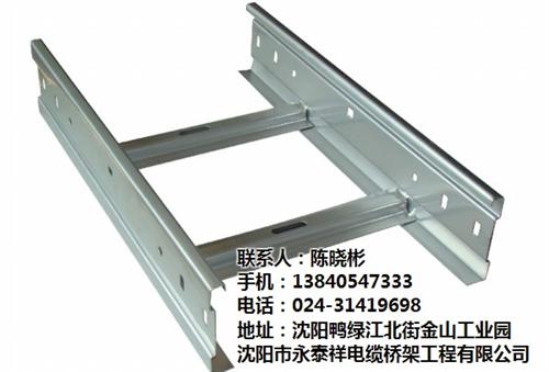 盘锦新型自锁式线槽|永泰祥电缆桥架|新型  新型自锁式线槽价  新型自锁式线槽哪  新型自锁式线槽多