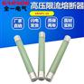 XRNP1-1012KV高压限流熔断器管芯