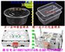 专做500ml快餐盒模具