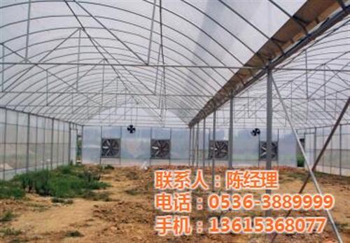 鑫华生态农业_智能温室_智能温室哪家好  智能温室大棚建设