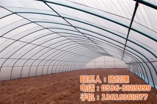 智能温室哪家好_智能温室_鑫华生态农业(  智能温室大棚建设  智能温室大棚造价