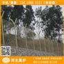 洛阳封山开发保护围栏网 高速公路防抛网 开封浸塑铁丝网