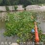 拦污浮筒批发/水电站拦污浮筒/浙江慈溪市